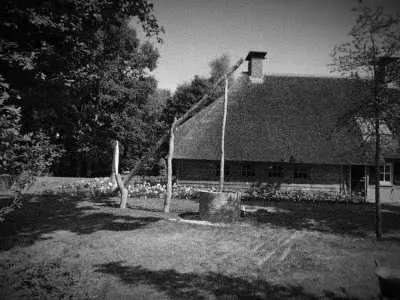 Rietdekkersbedrijf Hoeben Deurne